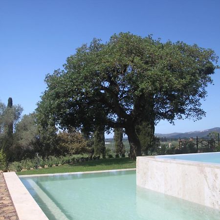 Agriturismo Il Broletto Suvereto Exterior photo